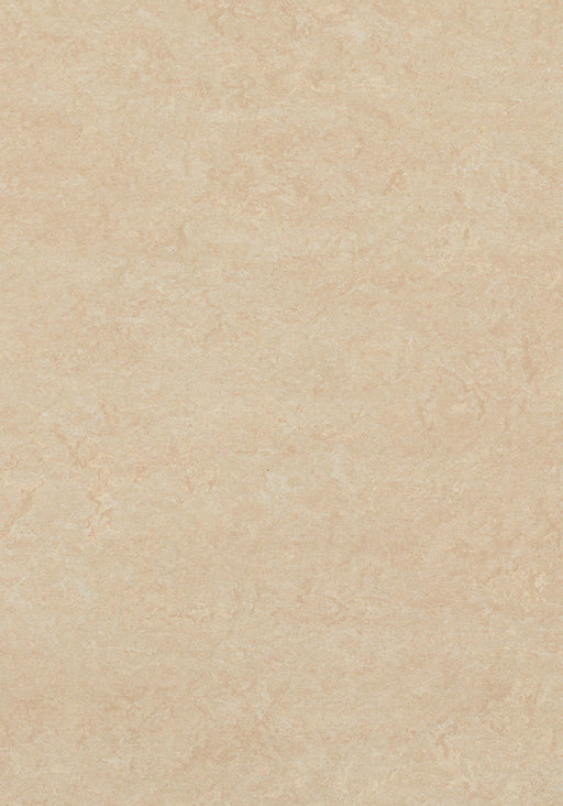 Marmoleum Sheet Fresco - Arabian Pearl B&R: Flooring & Carpeting Forbo USA 