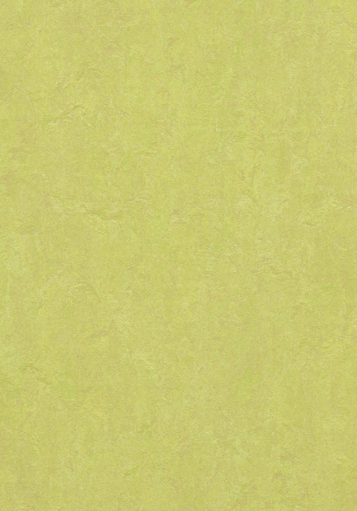 Marmoleum Sheet Fresco - Spring Buds B&R: Flooring & Carpeting Forbo USA 