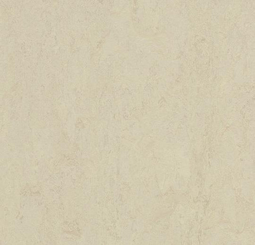 Marmoleum Composition Tile (MCT) - Stone 3888 B&R: Flooring & Carpeting Marmoleum 