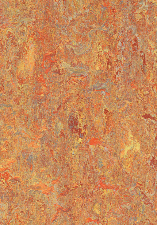 Marmoleum Click Cinch LOC - Asian Tiger 93/333403 B&R: Flooring & Carpeting Forbo 