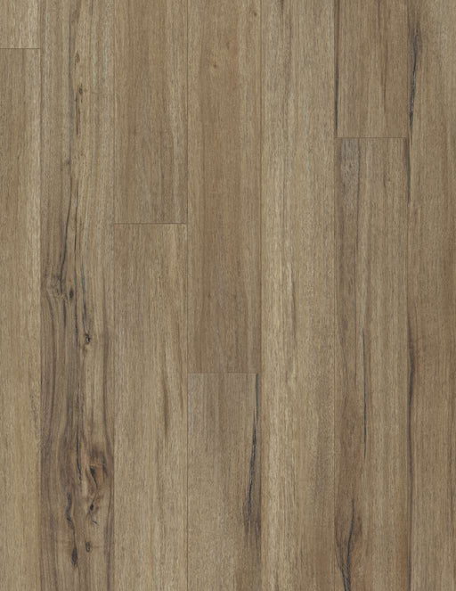 COREtec Plus 5" Plank - Baywood Oak - VV023-00503 B&R: Flooring & Carpeting USFloors 