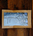 Birthday Wishes Tree Gift Gifts Scarlet Abderus 