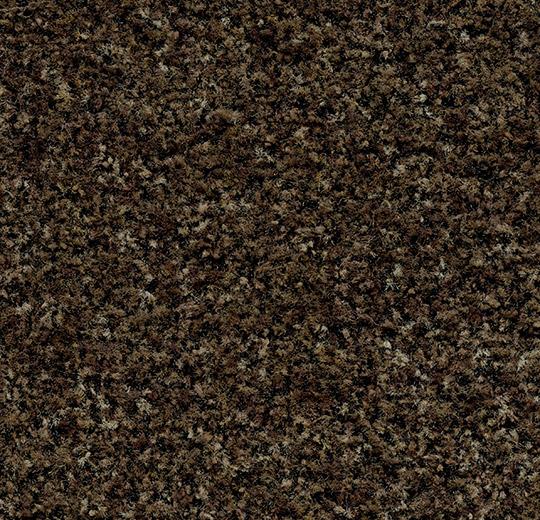 Coral Brush Sheet Entryway Flooring Forbo Biscotti Brown 