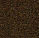 Coral Brush Sheet Entryway Flooring Forbo Cinnamon Brown 