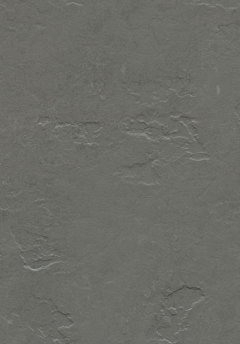 Marmoleum Sheet Slate - Cornish Grey B&R: Flooring & Carpeting Forbo USA 