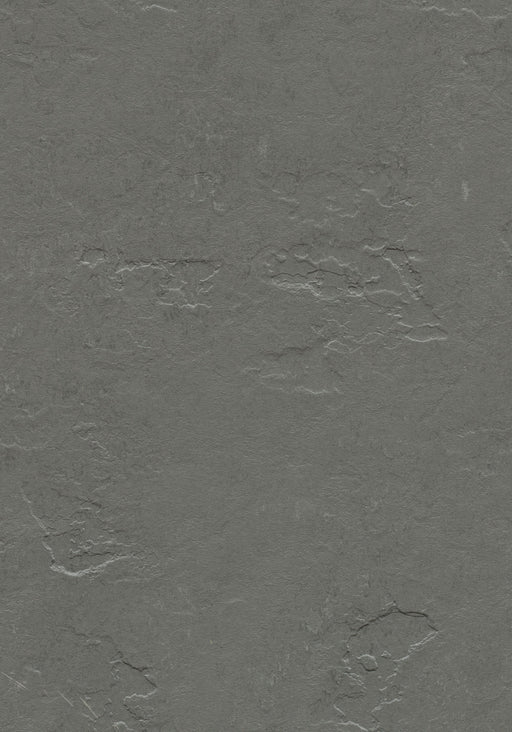 Marmoleum Sheet Slate - Cornish Grey B&R: Flooring & Carpeting Forbo USA 