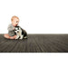 Earth Weave Broadloom Carpeting - Rainier B&R: Flooring & Carpeting Earth Weave 