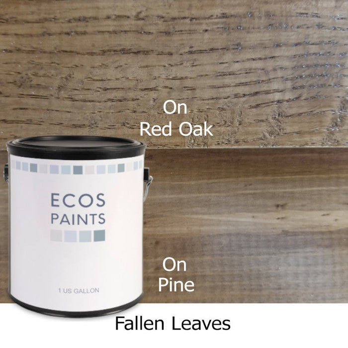 ECOS Paints - Wood Stain B&R: Paint, Stains, Sealers, & Wall Coverings Ecos Paints Fallen Leaves 2 oz 