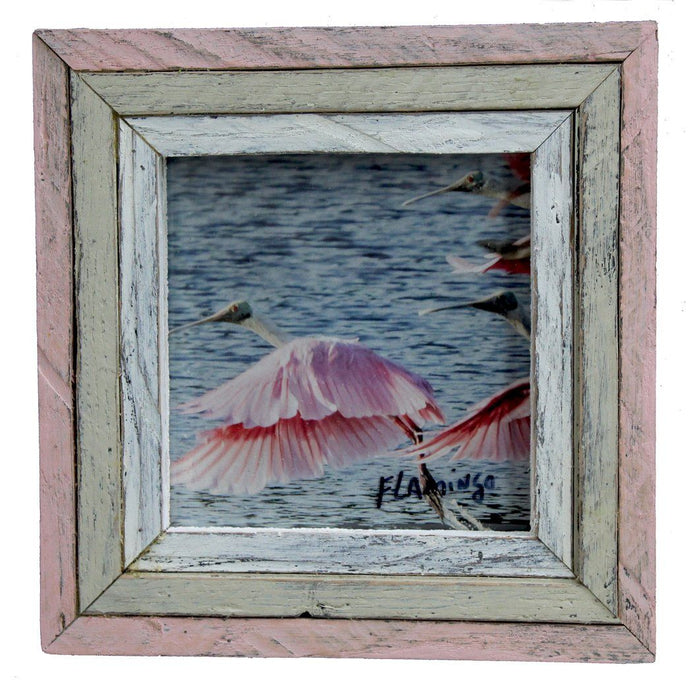 Triad Frame H&G: Home Decor Dryads Dancing 4x6 Flamingo 