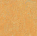 Marmoleum Real - Golden Saffron - 3847 B&R: Flooring & Carpeting Forbo 