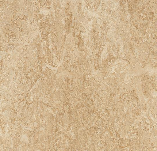 Marmoleum Composition Tile (MCT) - Barley 707 B&R: Flooring & Carpeting Marmoleum 