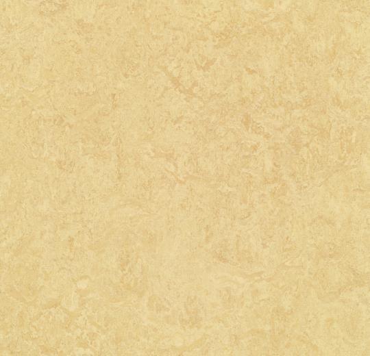 Marmoleum Composition Tile (MCT) - Butter 795 B&R: Flooring & Carpeting Marmoleum 