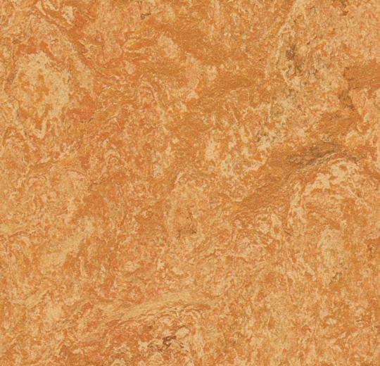 Marmoleum MCS - Sahara - 3174 B&R: Flooring & Carpeting Forbo USA 