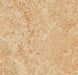 Marmoleum MCS - Shell - 3075 B&R: Flooring & Carpeting Forbo USA 