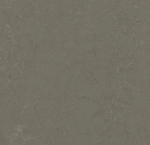 Marmoleum MCS - Nebula - 3723 B&R: Flooring & Carpeting Forbo 