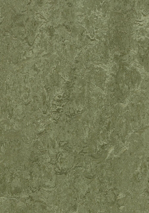Marmoleum Click Cinch LOC - Pine Forest 93/333255 B&R: Flooring & Carpeting Forbo 