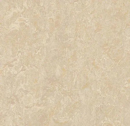 Marmoleum MCS - Sand - 2499 B&R: Flooring & Carpeting Forbo 