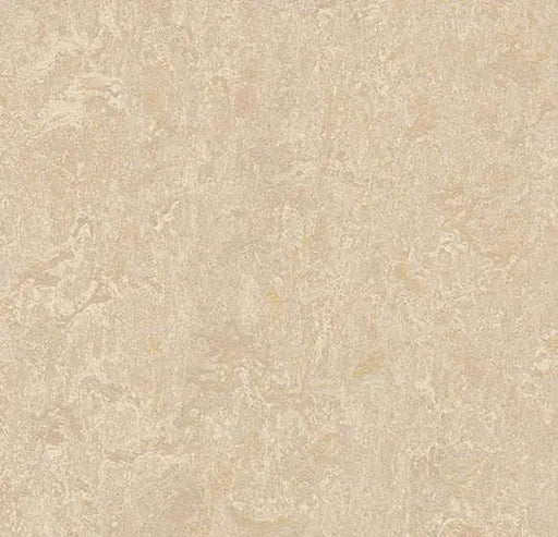 Marmoleum MCS - Sand - 2499 B&R: Flooring & Carpeting Forbo 