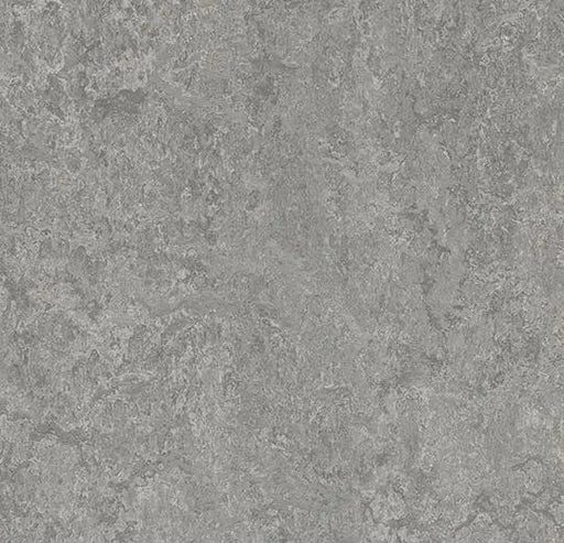 Marmoleum MCS - Serene Grey - 3146 B&R: Flooring & Carpeting Forbo 