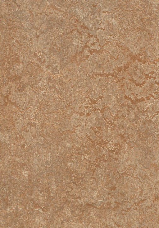 Marmoleum Click Cinch LOC - Shitake 93/333233 B&R: Flooring & Carpeting Forbo 