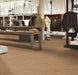 Marmoleum Real - Shitake - 3233 B&R: Flooring & Carpeting Forbo 