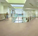 Marmoleum Decibel - Sparrow - 325235 B&R: Flooring & Carpeting Forbo 