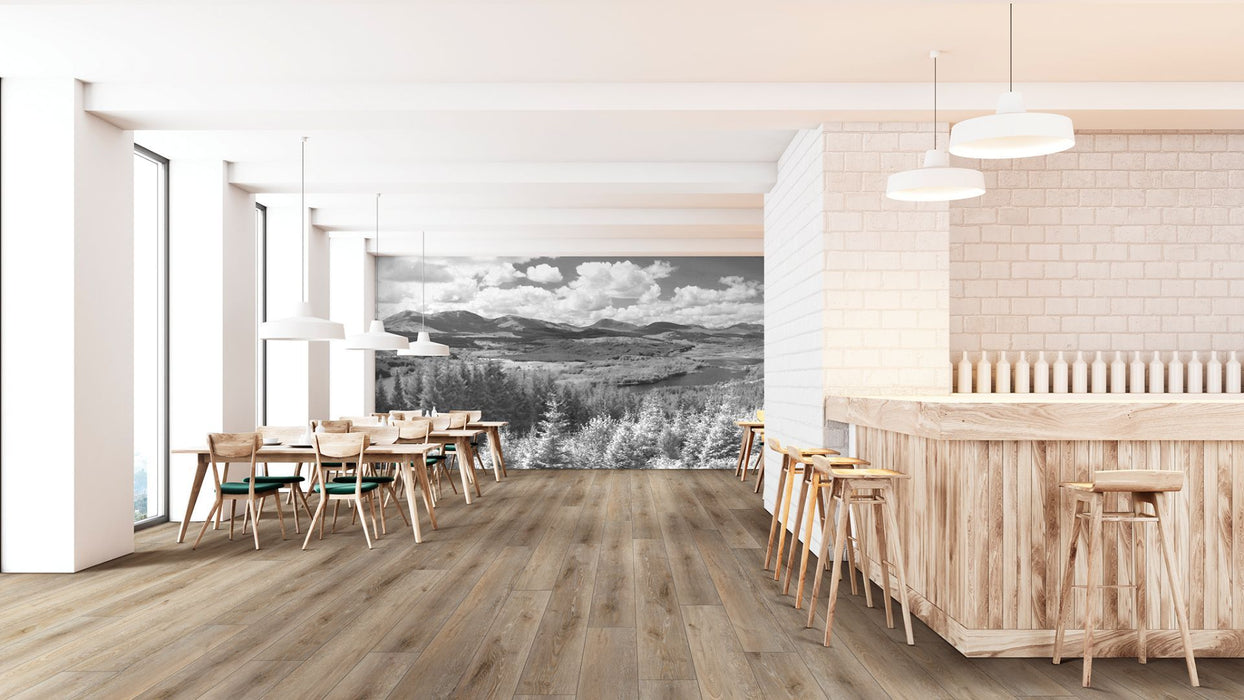 COREtec Pro Plus XL Enhanced - Suva Oak - VV491-02957 B&R: Flooring & Carpeting USFloors 