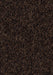 Coral Brush Entrance Mat Forbo 3' x 5' Chocolate Brown 