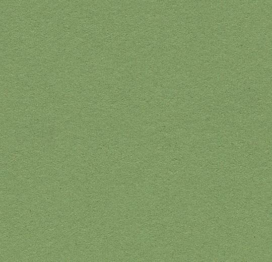 Forbo Bulletin Board Cork Material- 48" Width B&R: Paint, Stains, Sealers, & Wall Coverings Forbo 2213 Baby Lettuce 