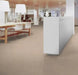 Marmoleum Concrete - Fossil - 3708 B&R: Flooring & Carpeting Forbo 