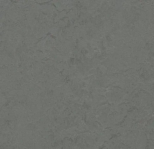 Marmoleum Modular Tile - Cornish Grey - t3745 B&R: Flooring & Carpeting Forbo 
