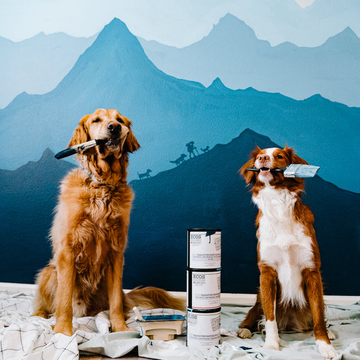 ECOS Paints - Pet Dwellings Paint B&R: Paint, Stains, Sealers, & Wall Coverings Ecos Paints 