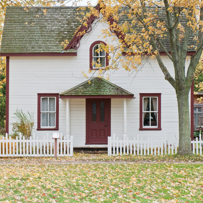 ECOS Paints - Exterior Satin Wall Paint B&R: Paint, Stains, Sealers, & Wall Coverings Ecos Paints 