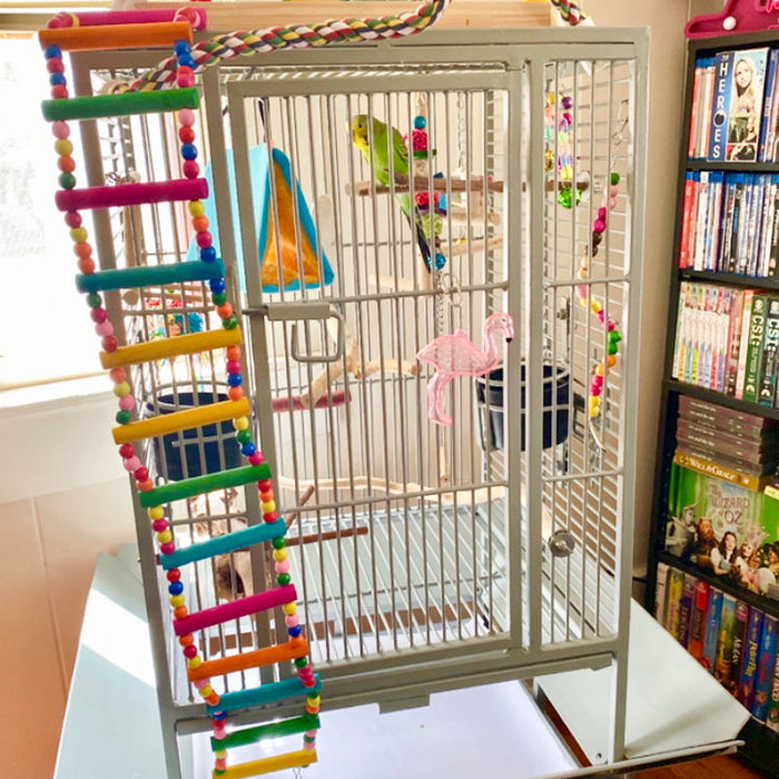 ECOS Paints - Pet Dwellings Paint B&R: Paint, Stains, Sealers, & Wall Coverings Ecos Paints 
