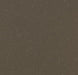 Marmoleum Composition Tile (MCT) - Hazelnut - 3657 B&R: Flooring & Carpeting Forbo 
