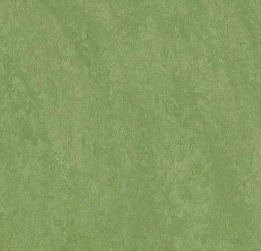 Marmoleum Composition Tile (MCT) - Leaf - 3260 B&R: Flooring & Carpeting Forbo 