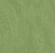 Marmoleum Composition Tile (MCT) - Leaf - 3260 B&R: Flooring & Carpeting Forbo 