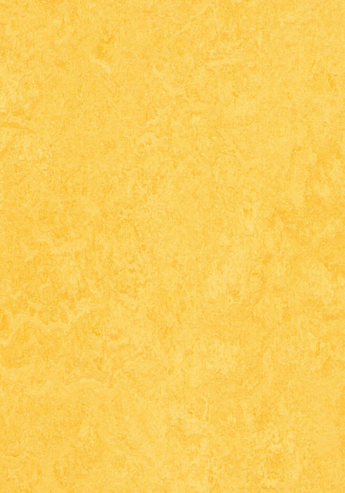 Marmoleum Click Cinch LOC - Lemon Zest 93/333251 B&R: Flooring & Carpeting Forbo 