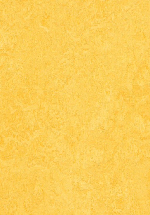 Marmoleum Click Cinch LOC - Lemon Zest 93/333251 B&R: Flooring & Carpeting Forbo 
