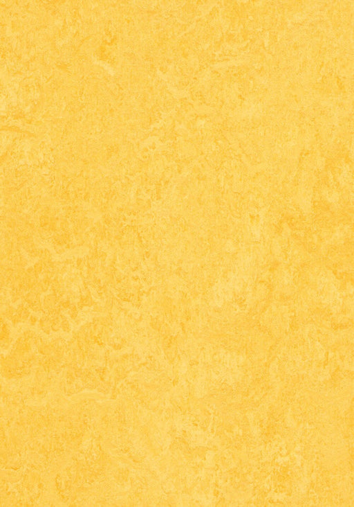 Marmoleum Click Cinch LOC - Lemon Zest 93/333251 B&R: Flooring & Carpeting Forbo 