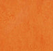 Marmoleum Composition Tile (MCT) - Mandarin - 3278 B&R: Flooring & Carpeting Forbo 
