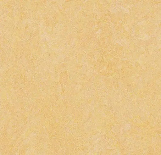 Marmoleum MCS - Natural Corn - 3846 B&R: Flooring & Carpeting Forbo 