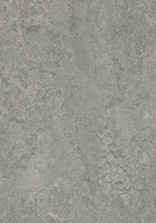 Marmoleum Click Cinch LOC - Serene Grey 93/333428 B&R: Flooring & Carpeting Forbo 