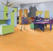 Marmoleum Sheet Vivace - Sunny Day B&R: Flooring & Carpeting Forbo USA 