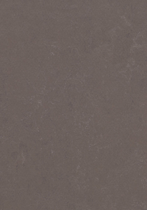 Marmoleum Modular Tile - Delta Lace B&R: Flooring & Carpeting Forbo USA 