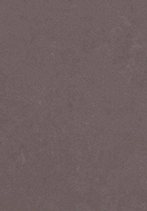 Marmoleum Modular Tile - Delta Lace B&R: Flooring & Carpeting Forbo USA 