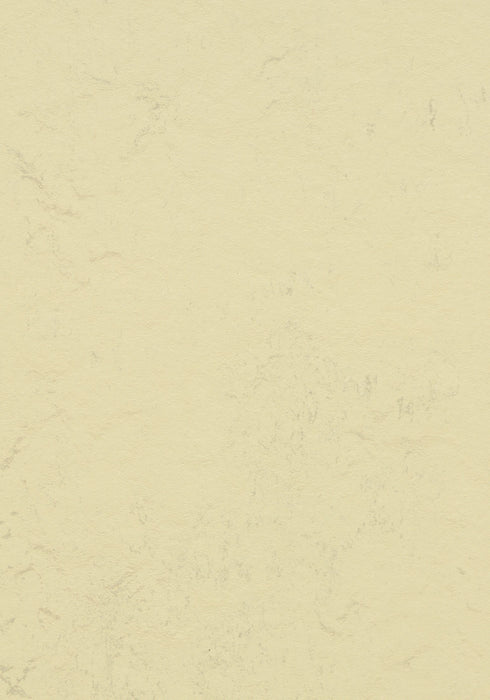 Marmoleum Modular Tile - Stardust t3722 B&R: Flooring & Carpeting Forbo USA 
