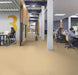 Marmoleum Concrete - Venus - 3726 B&R: Flooring & Carpeting Forbo 