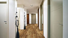 COREtec Pro Plus 7" Belmont Hickory - VV017-01005 B&R: Flooring & Carpeting USFloors 