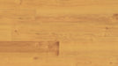 COREtec Plus 5" Norwegian Maple - VV023-00504 B&R: Flooring & Carpeting USFloors 